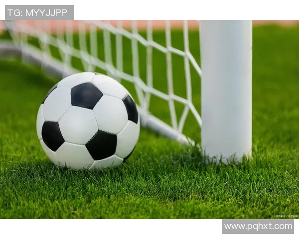 二年级足球球星精彩瞬间集锦 精湛技巧与无尽潜力展现